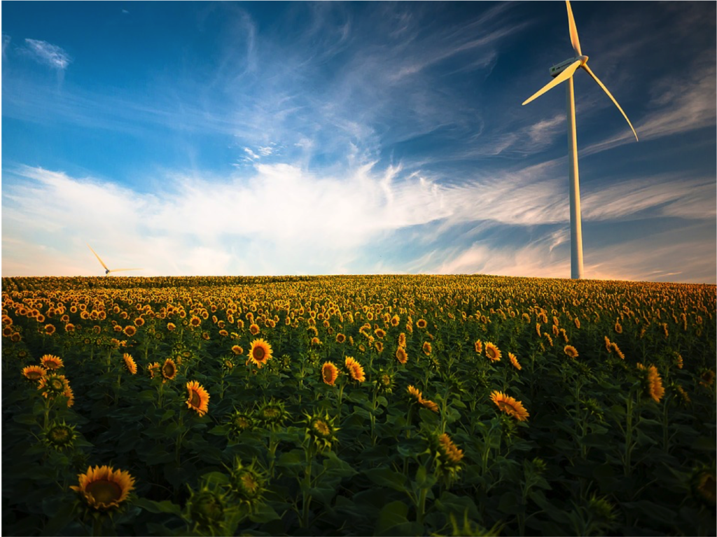 energie rinnovabili