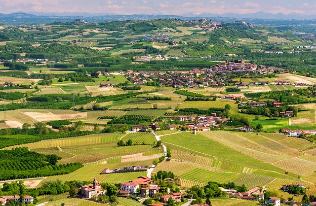 BDTRE della regione Piemonte
