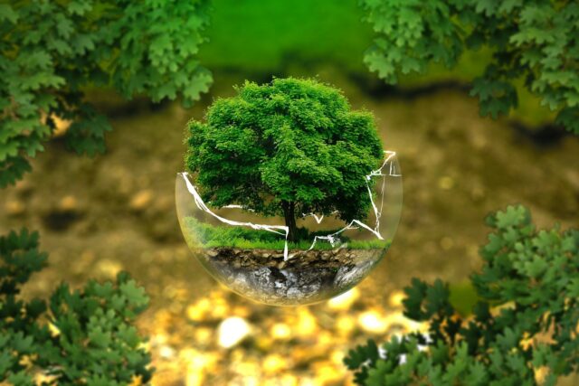 gestione servizi ambientali giornata mondiale dell'ambiente