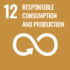 responsible consmuption